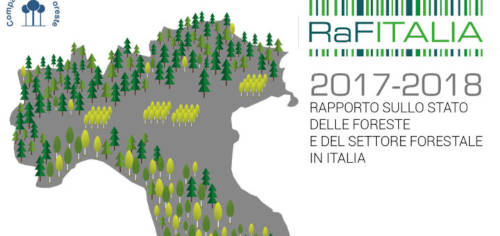 Le nostre foreste - rapporto sul loro stato e sul settore